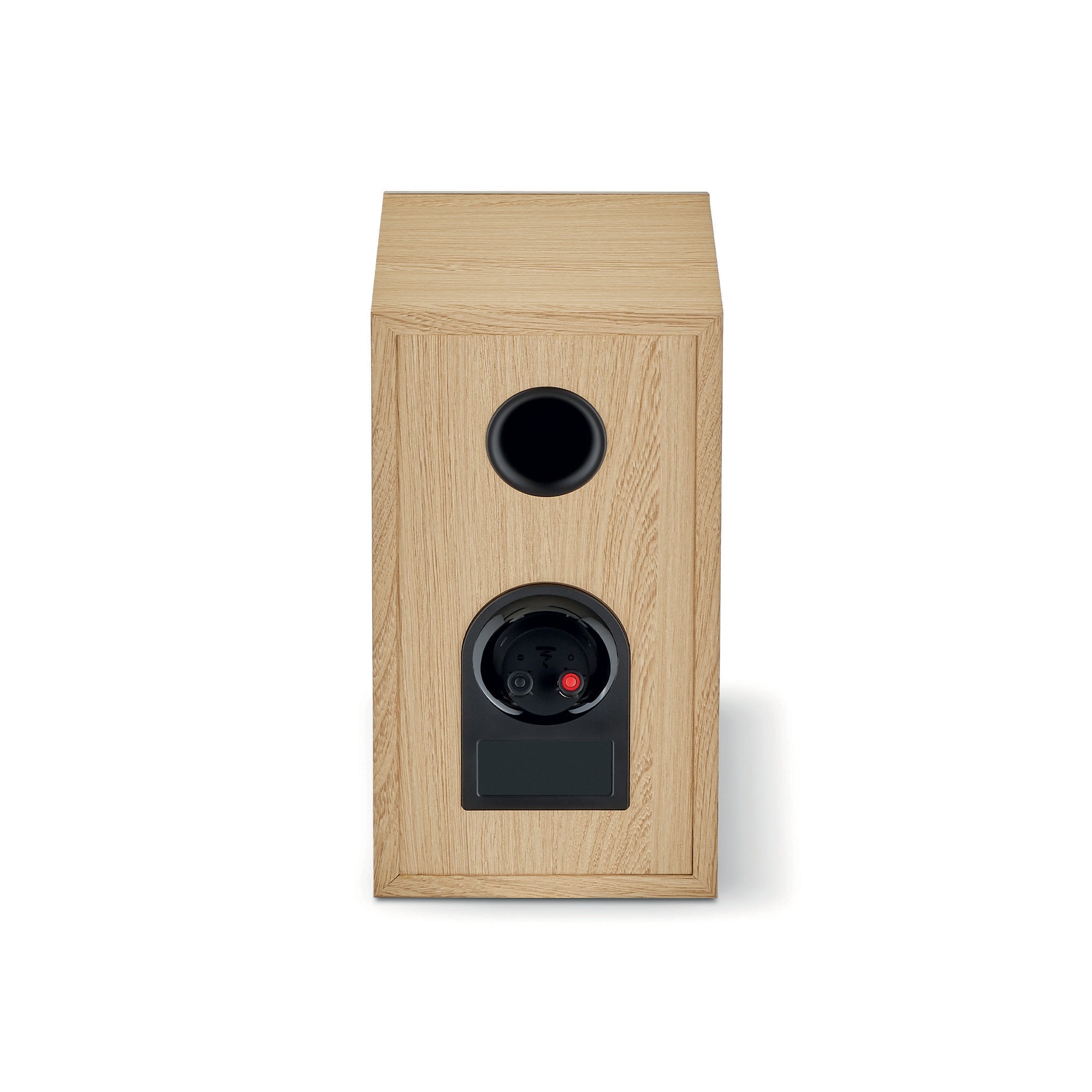 Focal Theva N1