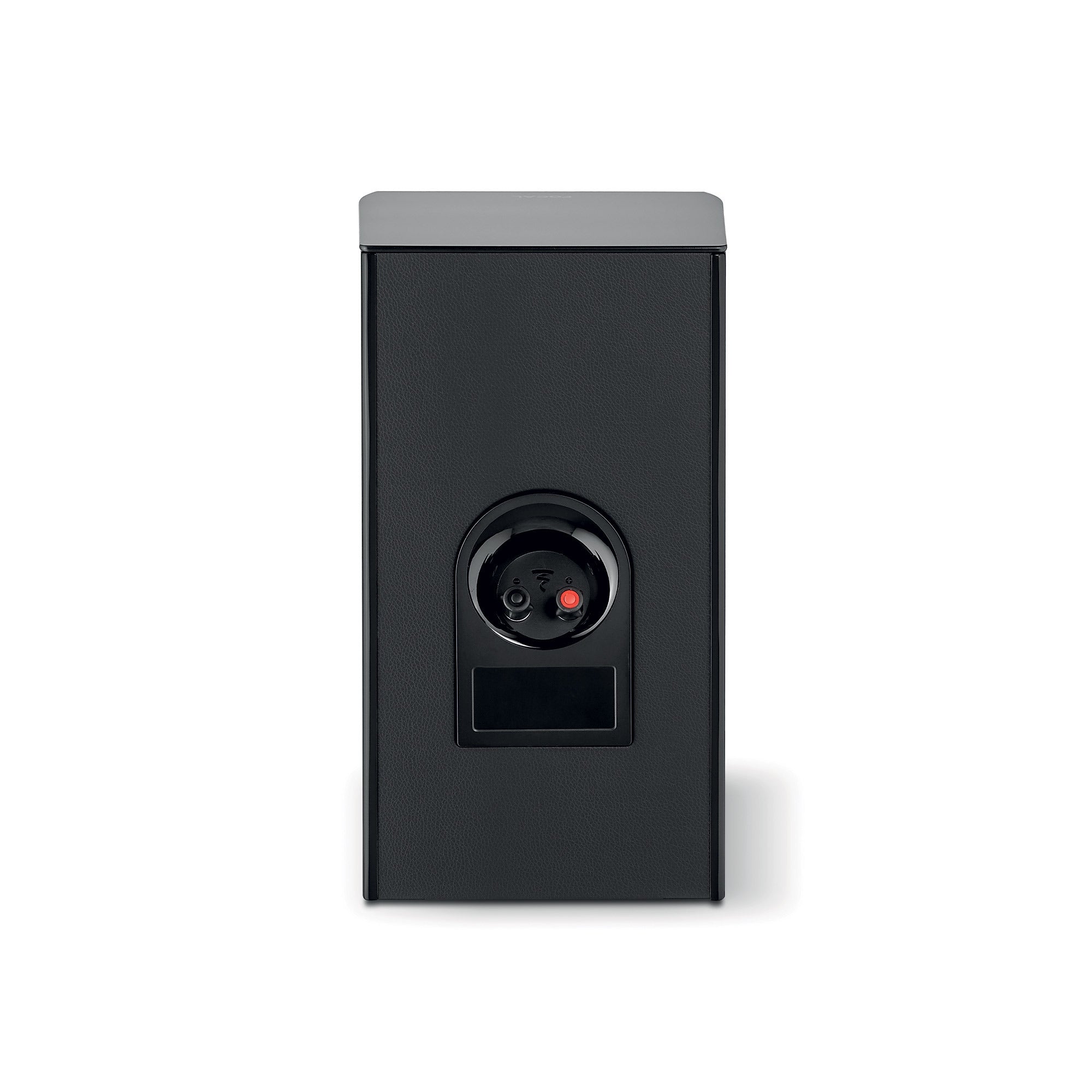 Focal Aria Evo X N°1