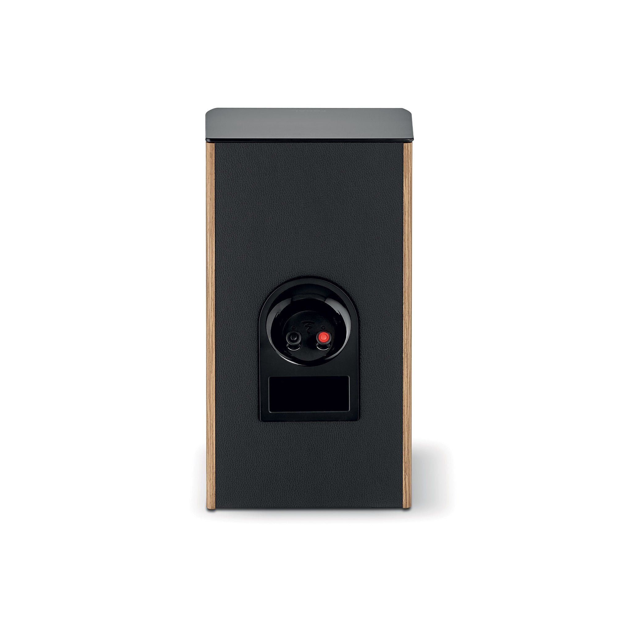 Focal Aria Evo X N°1