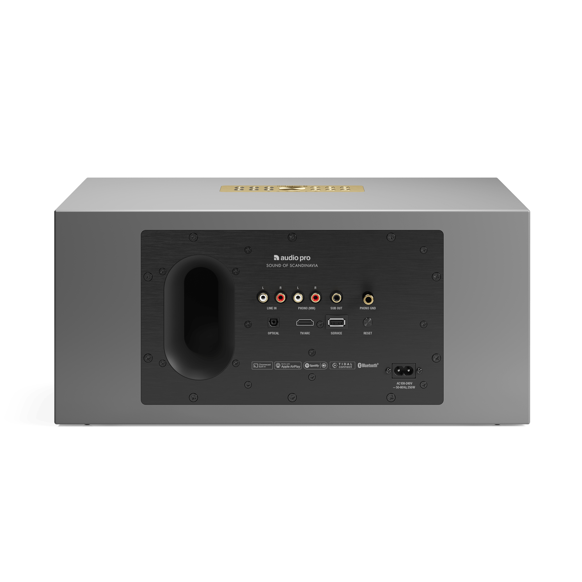Audio Pro C20 רמקול חכם