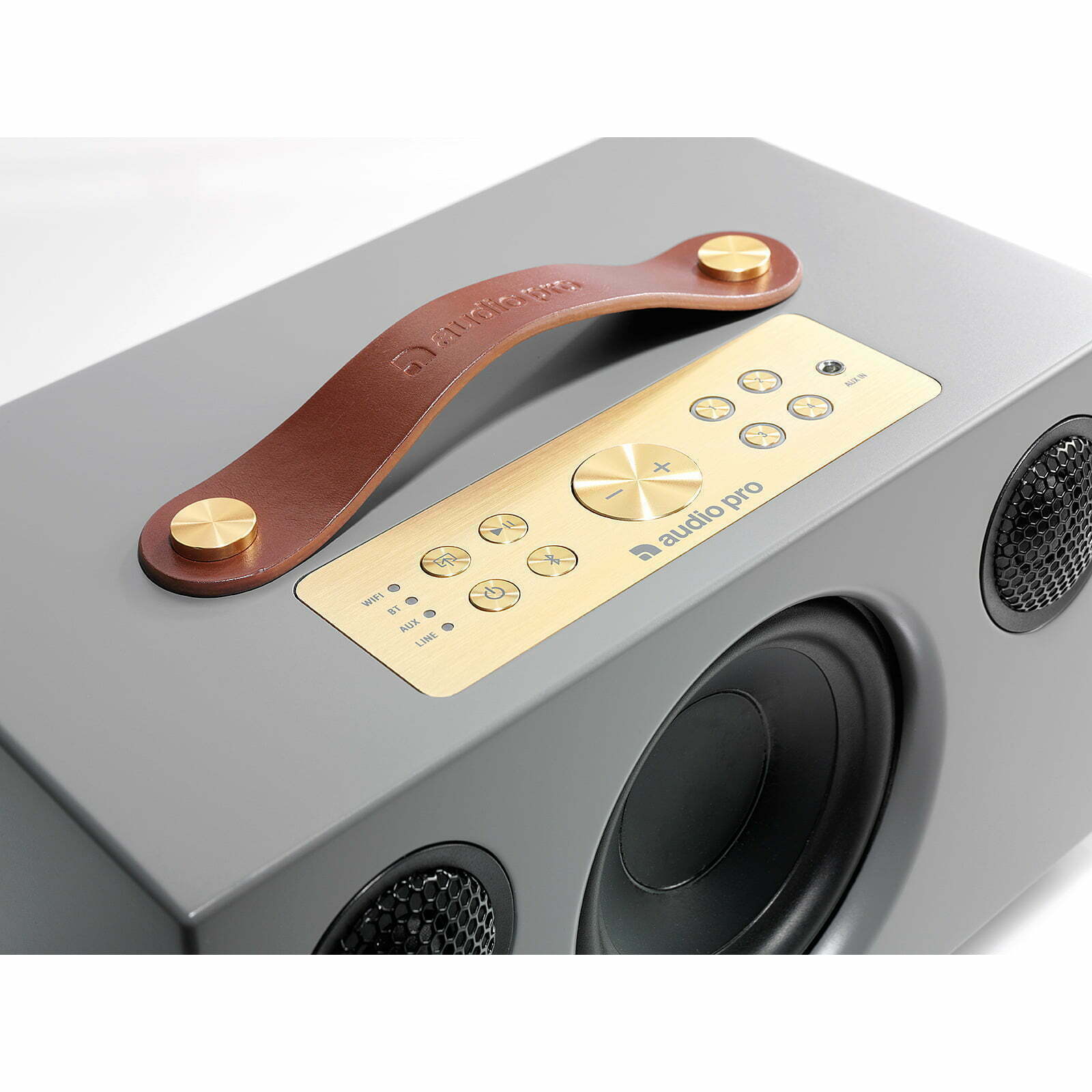 רמקול Audio Pro ADDON C5
