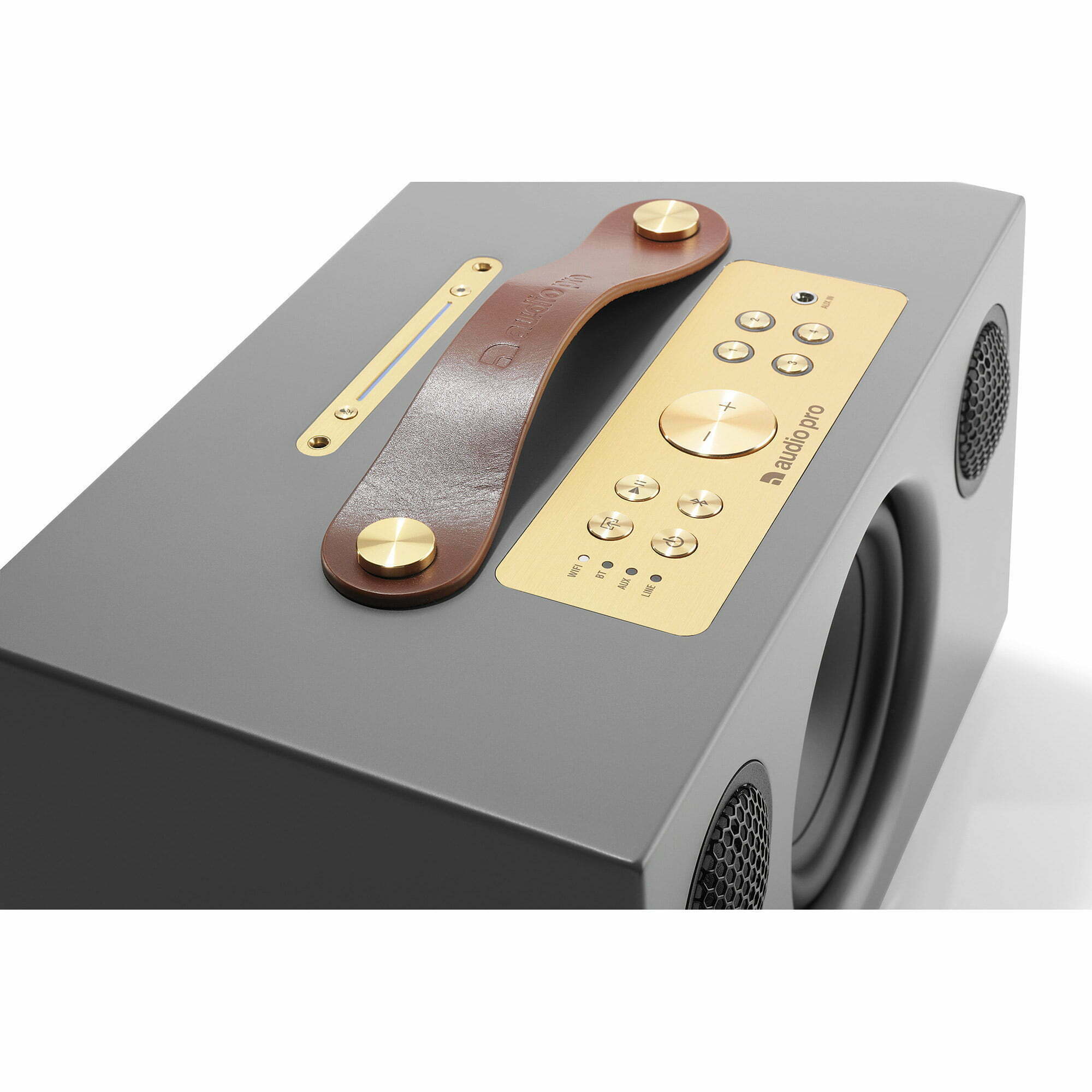 רמקול Audio Pro ADDON C5A